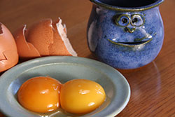 Eiertrenner